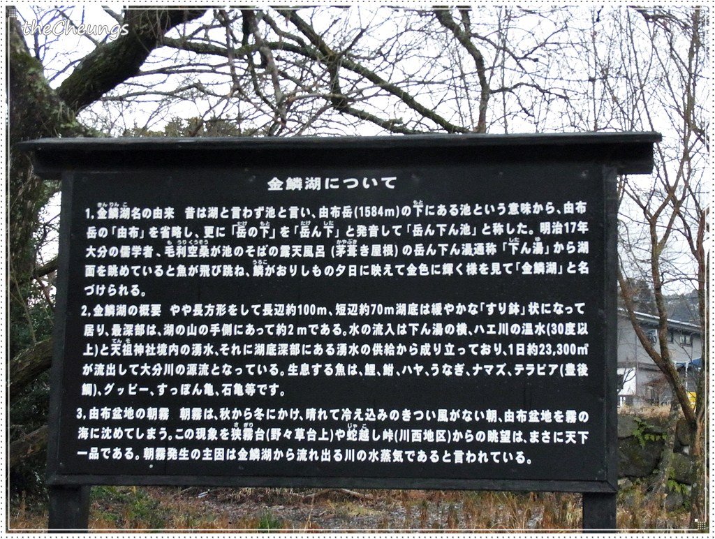 R0030011
