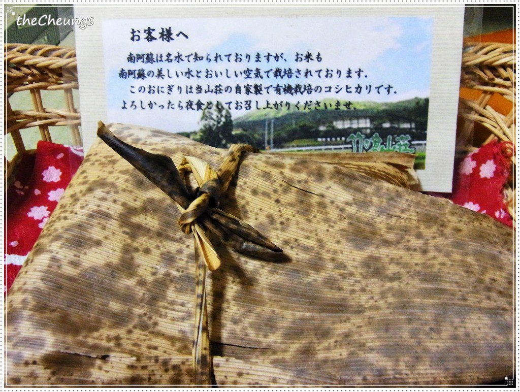 R0030419
