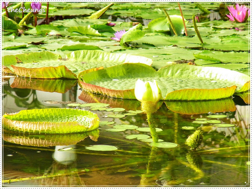 R0030245